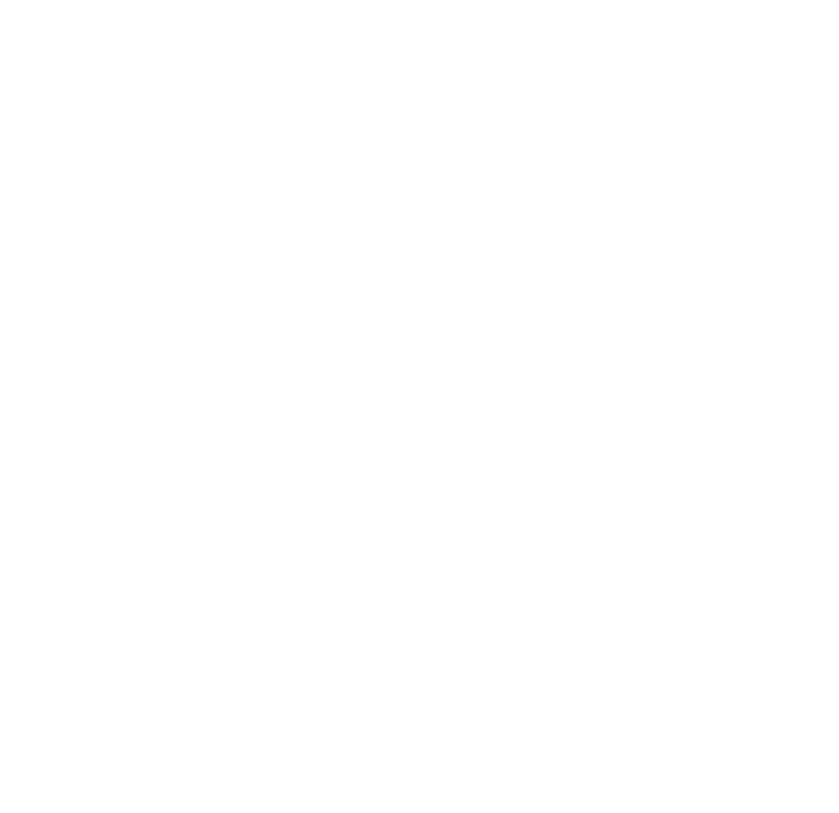 BNASTL Black Nurses Association of Greater St. Louis